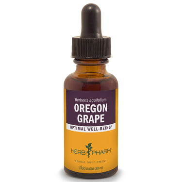 Oregon Grape - My Village Green
